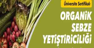 Organik Sebze Yetiştirmek İsteyenler İçin Kurs Açılıyor...